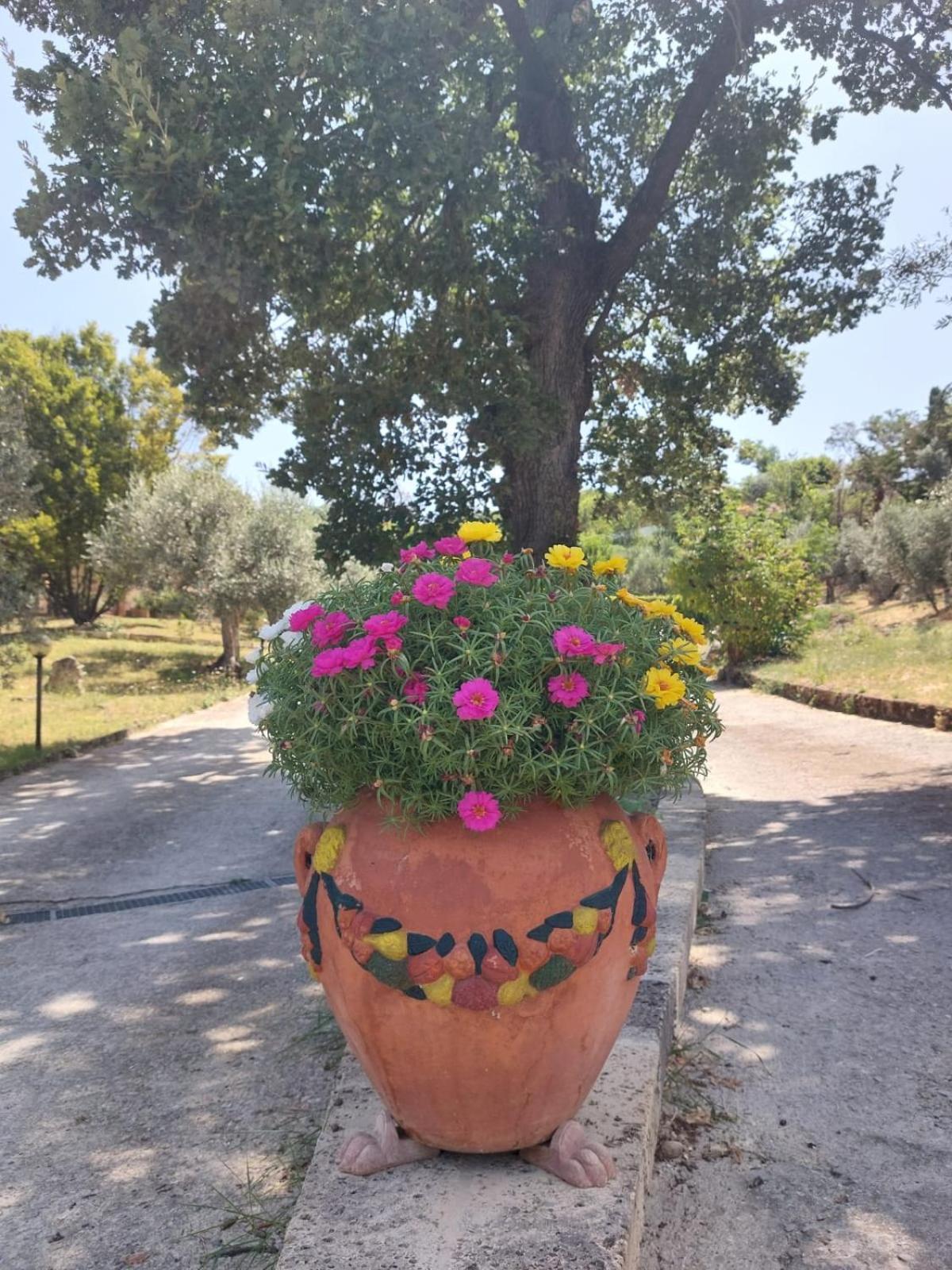 Montecchio  La Selvarella מראה חיצוני תמונה